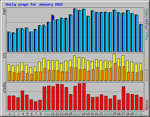 Daily usage for January 2021