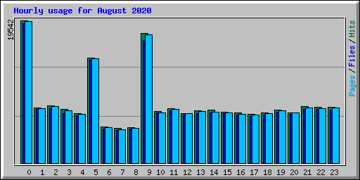 Hourly usage for August 2020
