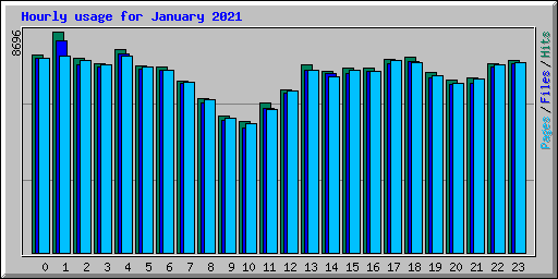 Hourly usage for January 2021