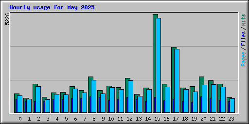 Hourly usage for May 2025