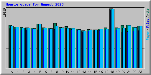 Hourly usage for August 2025