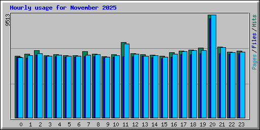Hourly usage for November 2025