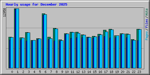 Hourly usage for December 2025